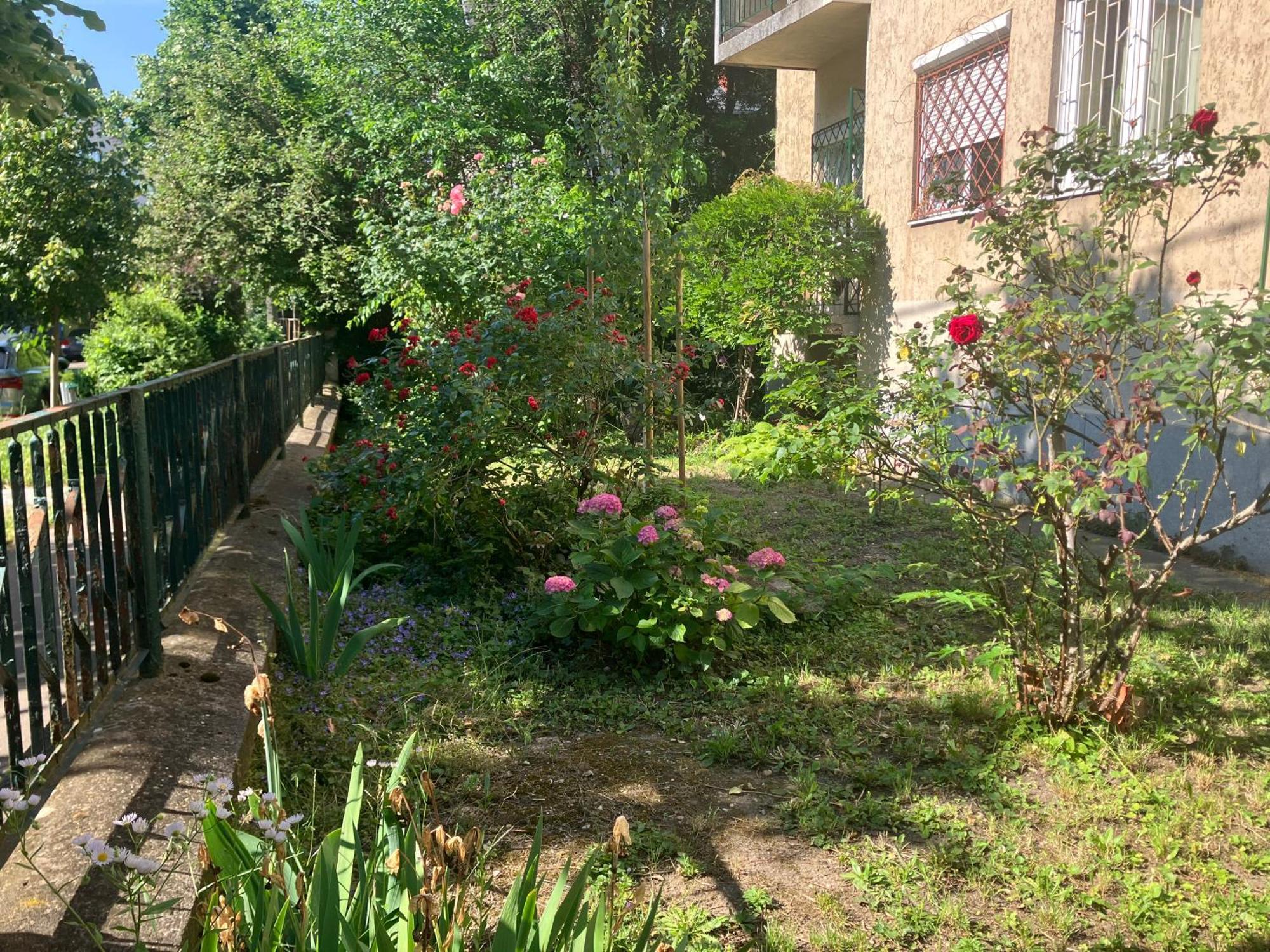 Apartament Csendes Zoeldoevezeti